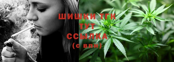 индика Аркадак