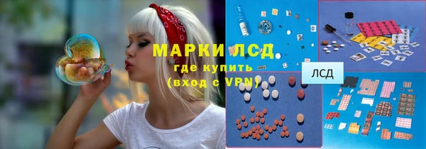 PSILOCYBIN Армянск