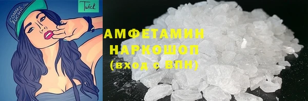индика Аркадак