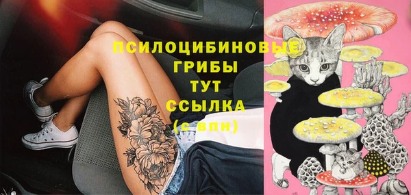 2c-b Балахна