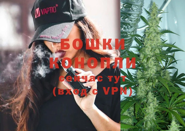 индика Аркадак